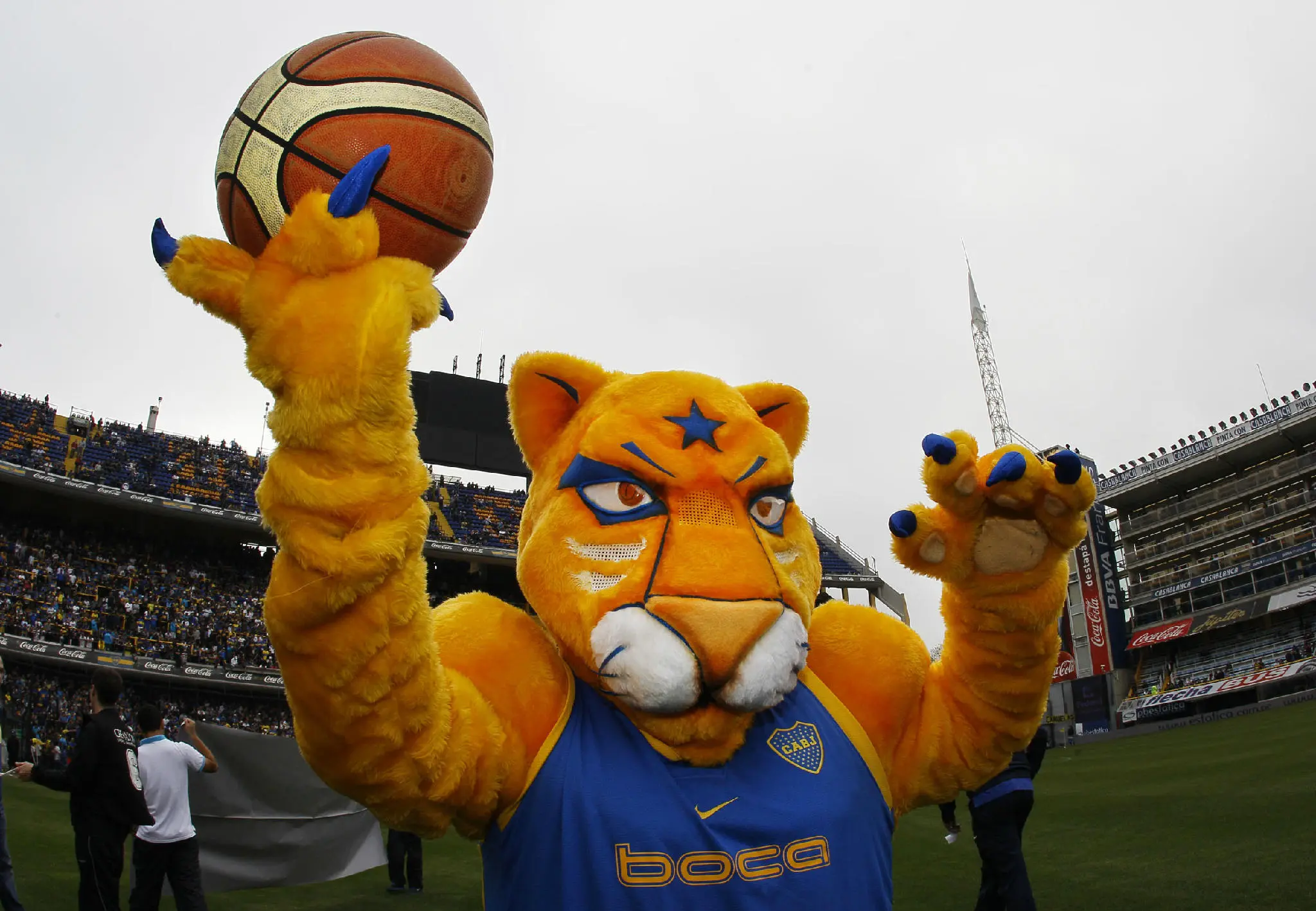 que animal es boca juniors - Qué animal tiene boca juniors