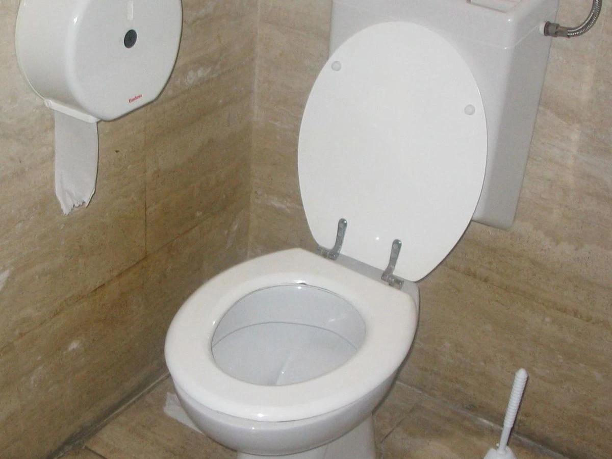 porque la boca huele a excremento - Qué significa el olor a heces