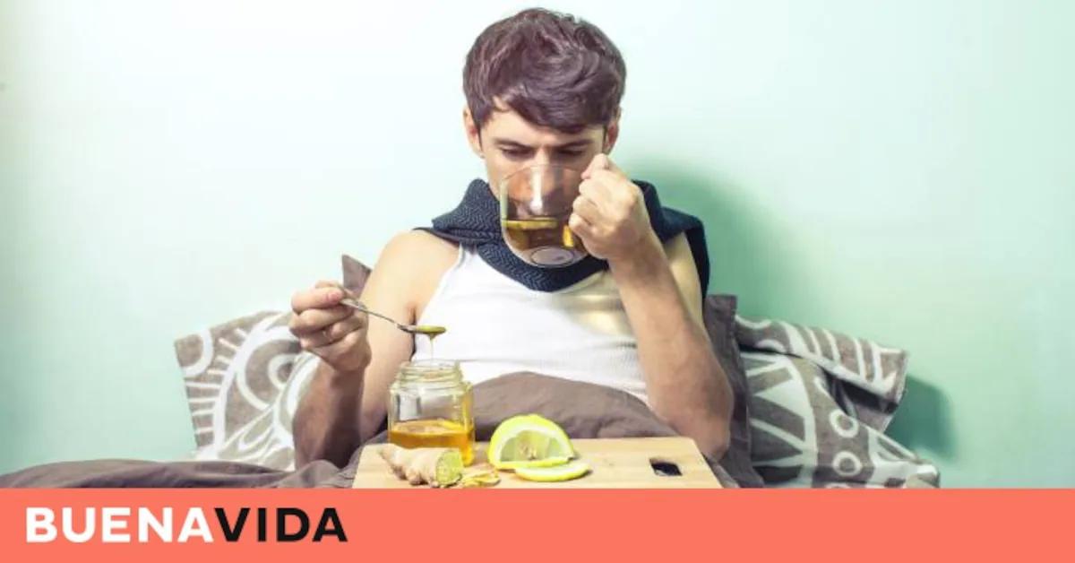 el alcohol mata las bacterias de la boca - Qué tipo de bacterias mata el alcohol
